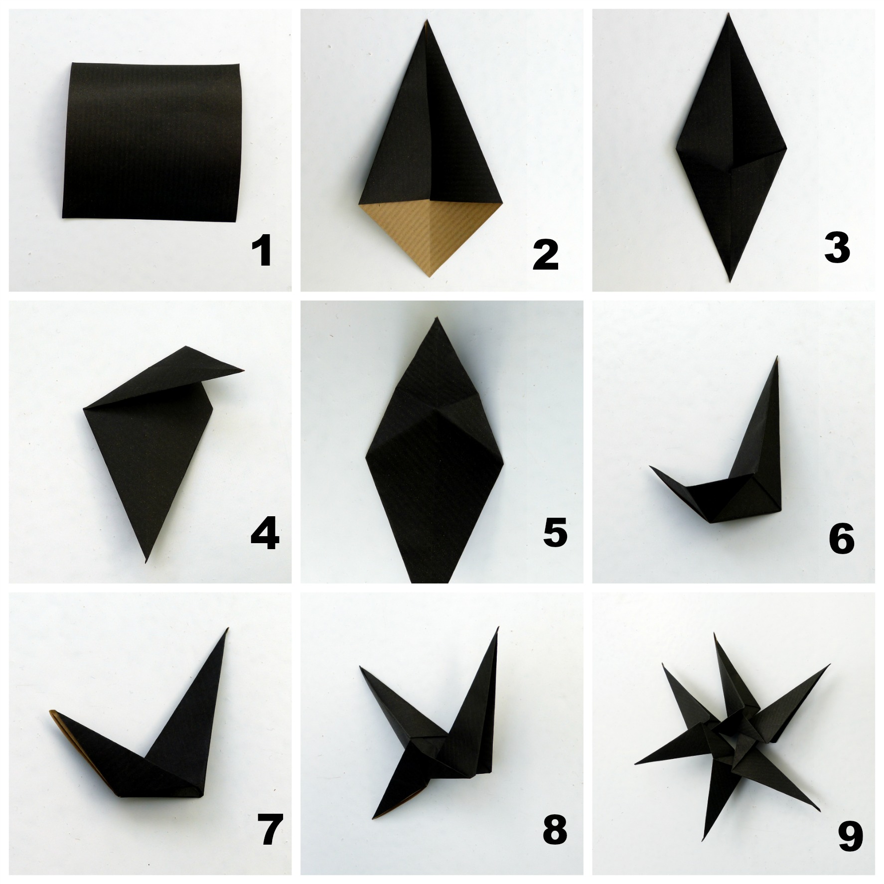 Origami Stern Collage